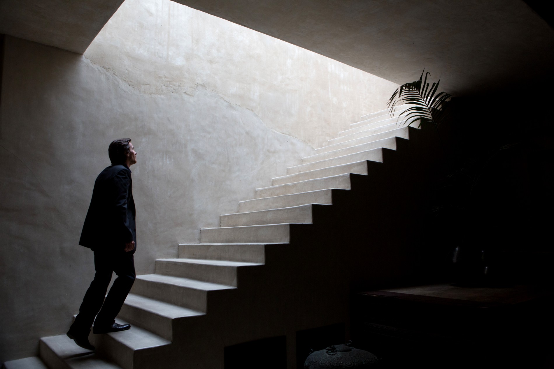 "Knight of Cups"