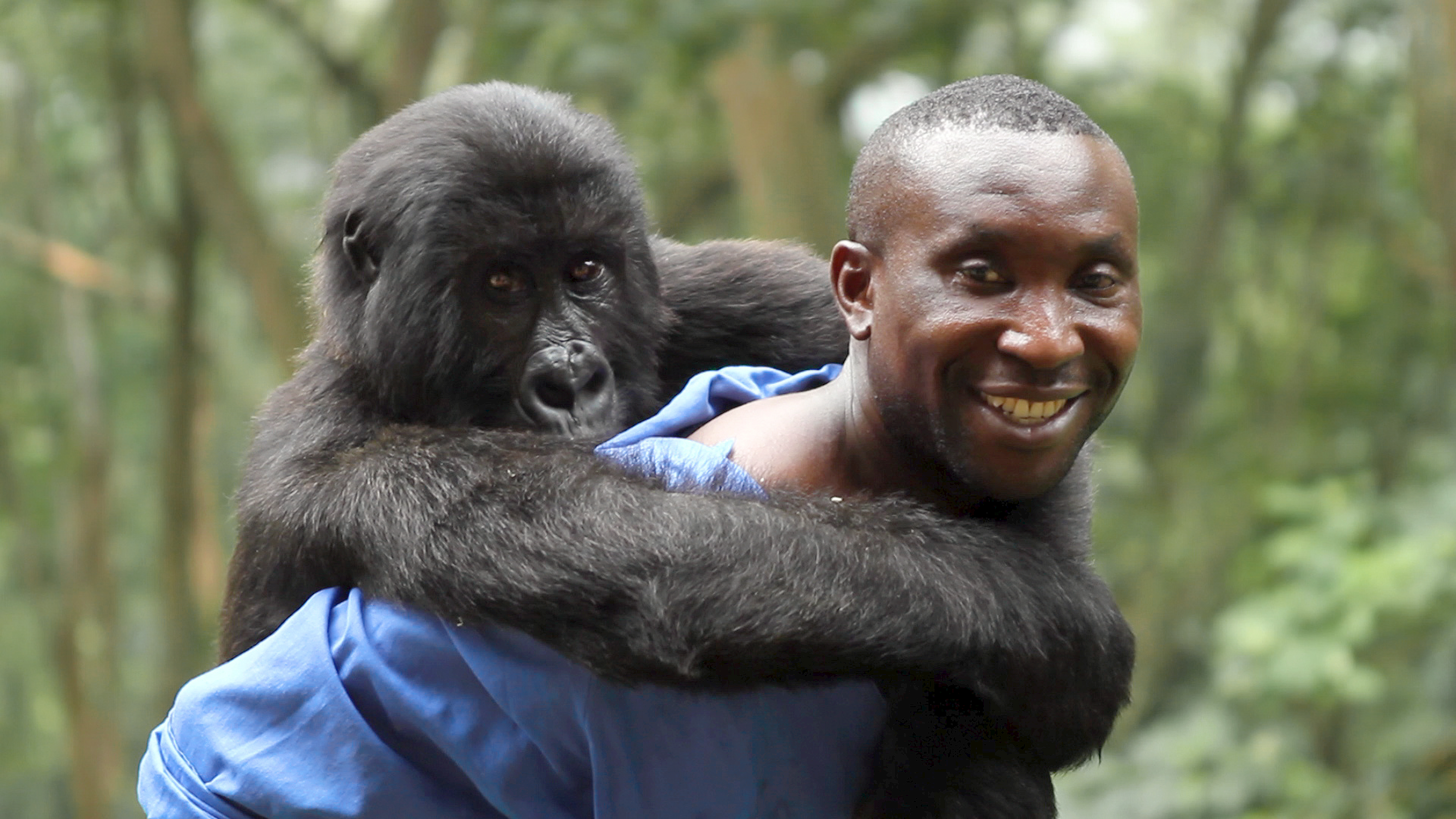 Virunga-on-Netflix