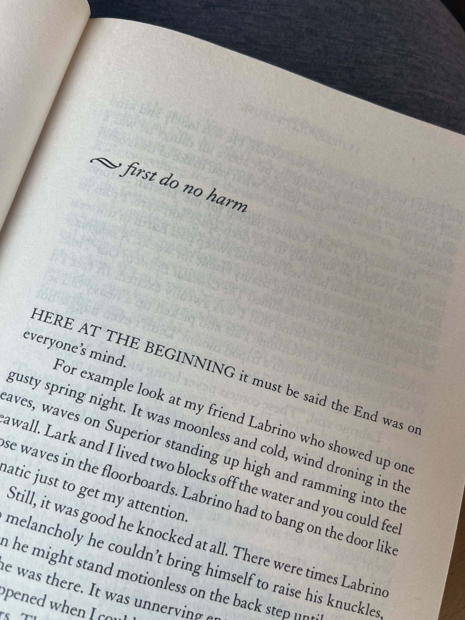 Light Reading #1: On the opening line of Leif Enger's I Cheerfully Refuse