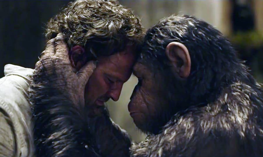 Dawn of the Planet of the Apes (2014): A Looking Closer Film Forum