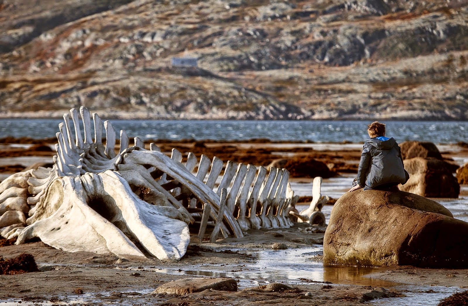 The Return (2003): Why Moviegoers Everywhere Must Learn to Say "Zvyagintsev"