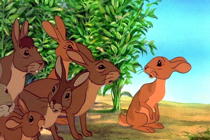 Watership Down (1978): Looking Back at an Animation Classic