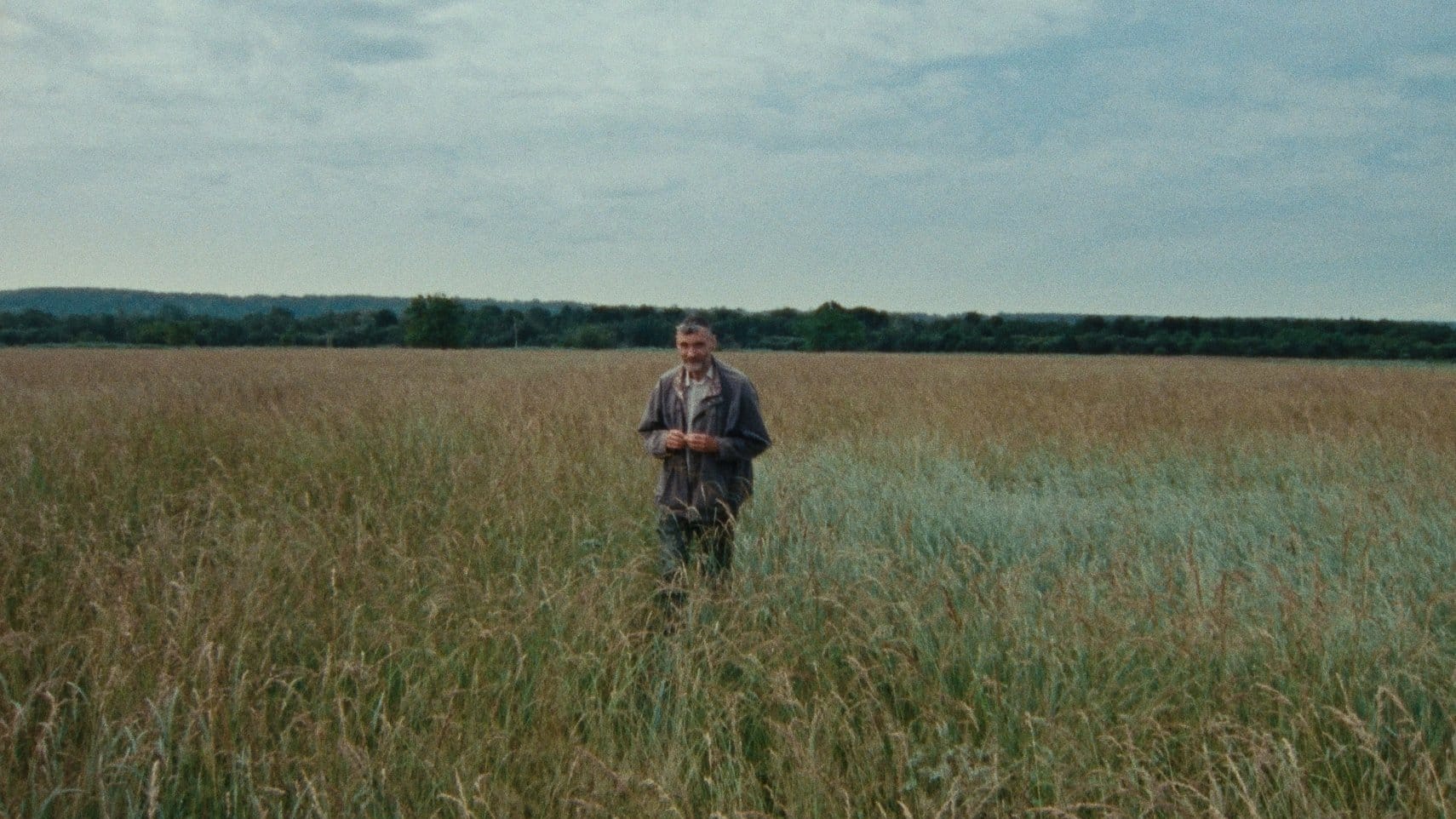 7 Walks with Mark Brown: a brilliant way to start a new year of movies