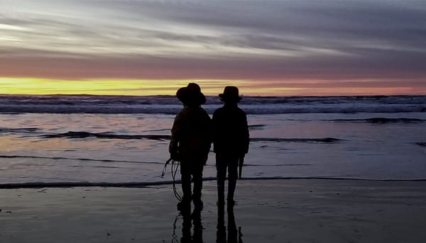 Favorite Recordings of 2020: Part 1 (Honorable Mentions)