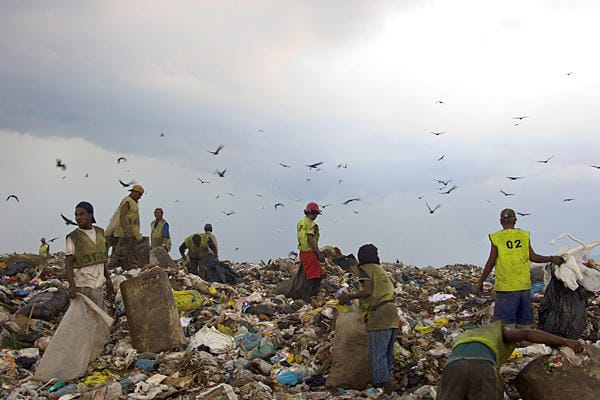 Waste Land (2010)