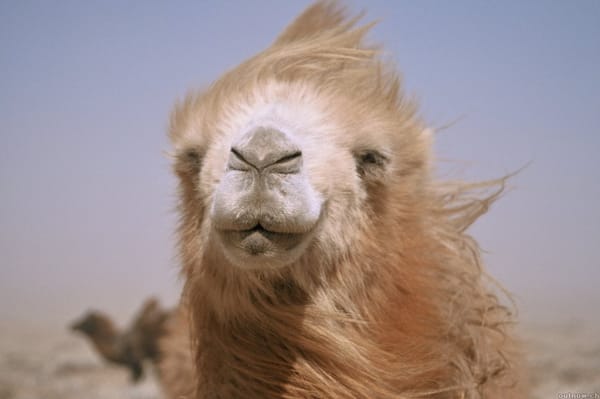 A Big Hello to My Younger Readers!